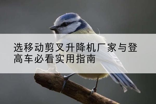 南部电动升降机厂家-选移动剪叉升降机厂家与登高车必看实用指南