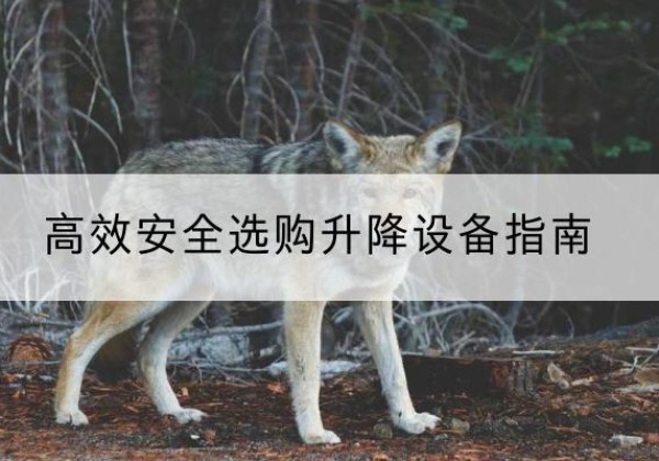 南部升降货梯厂家推荐-*安全选购升降设备指南