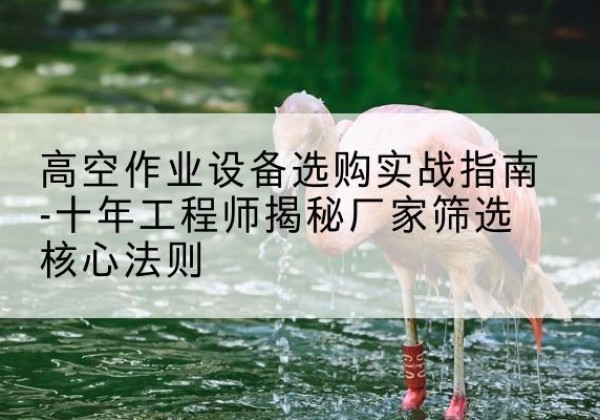 南部剪叉式升降机厂家-高空作业设备选购实战指南-十年工程师揭秘厂家筛选核心法则